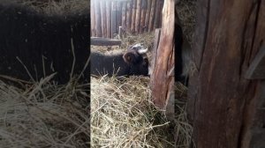 У нас новости- и хорошие,и не очень...