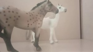 Обзор на Новых Лошадей