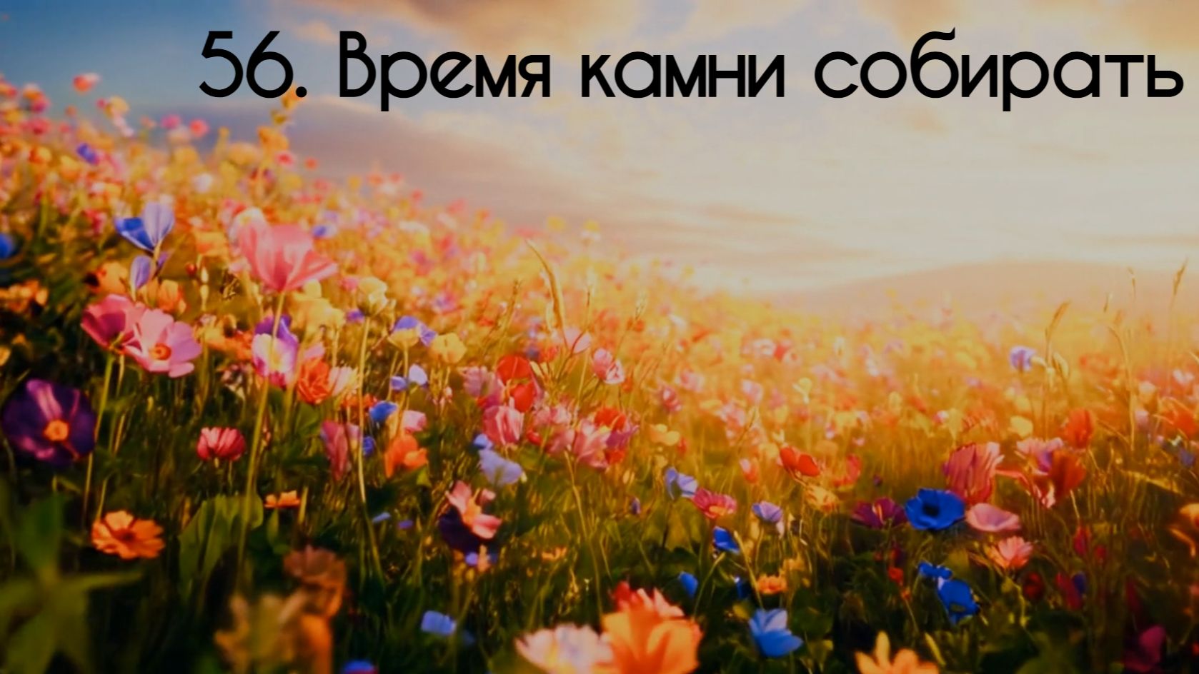 56. Время камни собирать