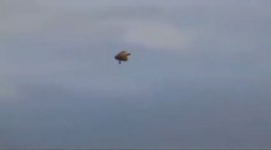 Странной Формы Объект