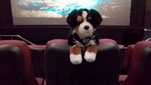 Влог из кинотеатра|06.02.2026