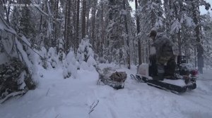 ОБРАТНЫЙ ПУТЬ ДОМОЙ. ОТКРЫЛ ВСЕ КАПКАНЫ. РЯБЧИКИ ВЗЛЕТАЮТ ИЗ ПОД НОГ. 6 серия