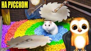 ПОБЕГ ХОМЯЧКА ИЗ ЛАВОВОЙ ТЮРЬМЫ