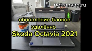 Обновление блоков управления Skoda удаленно!