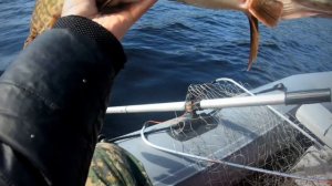 Рыбалка 28.05.23