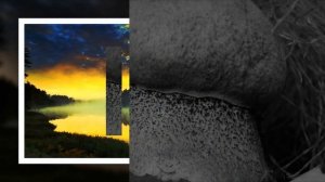 Radio Silence - As Sartorious Said