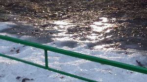 Обзор на площадку