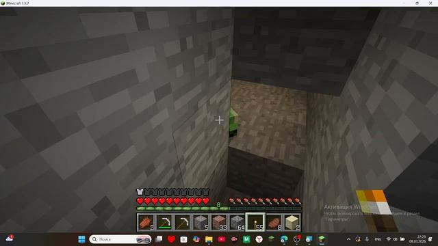 выживаю в мире угольный стив (сид 107038380838084) #1