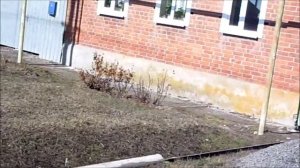 ч.6 Восточный