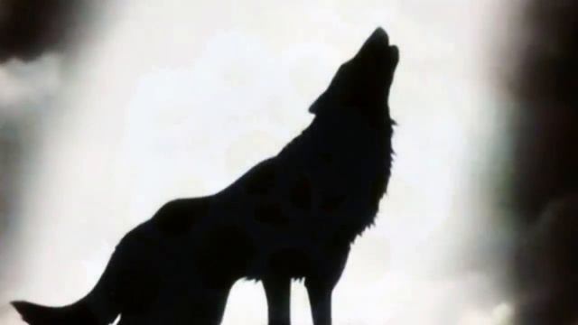 Сборник русский шансон песни популярные