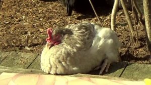 Пришла весна.