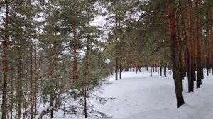 Кто такой бедный человек и почему он бедный, а другие богатые? И что с этим делать?