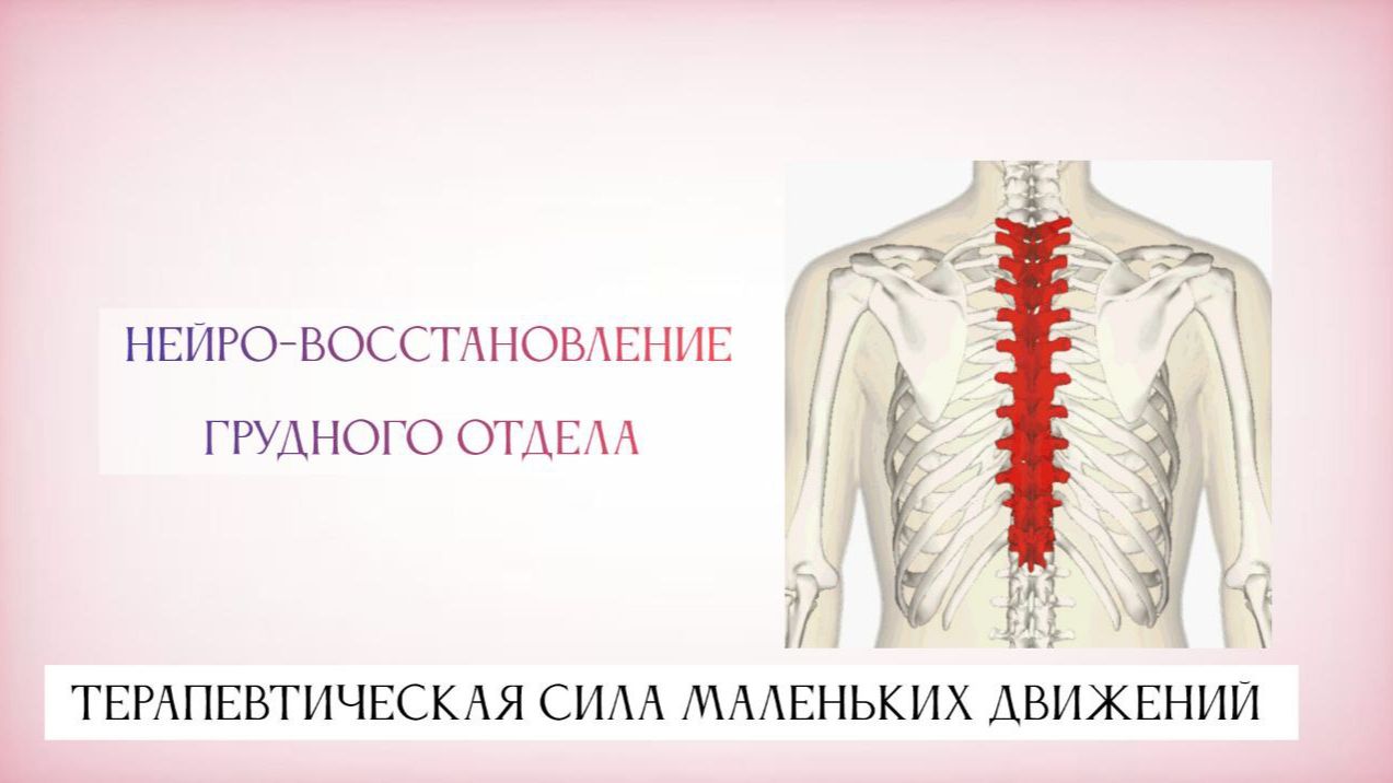 Нейро-восстановление грудного отдела. Терапевтическая сила маленьких движений.