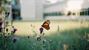 wavymind - 2 разминка