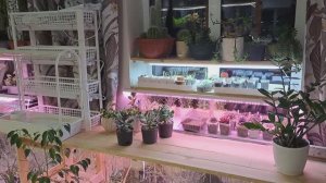 ! Март! Ура ,весна!!!