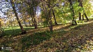 ПРОГУЛКА В ПАРКЕ АРХИВ 001