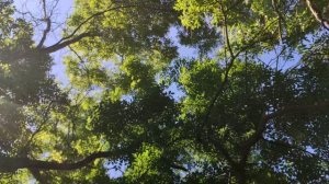 Один из дней города Евпатории | 28 июня 2021 г | Крым | ХАН БАТОН | XAH 6ATOH | VID_20210628_161605