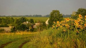 ПОСЛЕ КОЛОНИИ ОНА ПРИЕХАЛА В ДЕРЕВНЮ — И УСТРОИЛАСЬ К ТОМУ, КТО ЕЕ ПОСАДИЛ