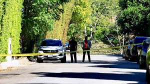 Женщина открыла огонь по дому Рианны в Лос-Анджелесе