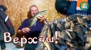 СУДАК И ЛЕЩИК НА ХЛОПУШКУ НА ВЕРХАШЕ С КОМФОРТОМ! НАЛОВИЛИ И ОТДОХНУЛИ, СМЕНА, РЫБАЛКА В КАЗАХСТАНЕ!