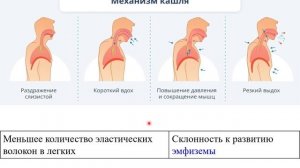 ЛЕКЦИЯ - 6-2 - Воспалительные заболевания органов дыхания у детей