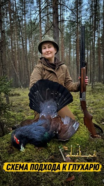 #1_Охота_Схема подхода к глухарю