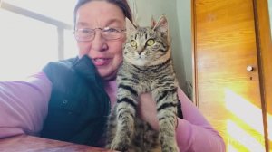 Смотрю за папой после инсульта Кузя в чужом огороде