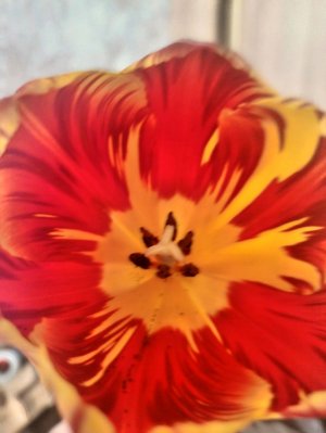 болтаем и делаем сборники ОГЭ уроки