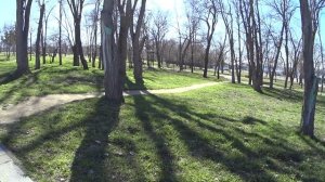 ПРОГУЛЯЛИСЬ К МОРЮ