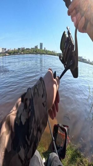 рыбалка на фидер