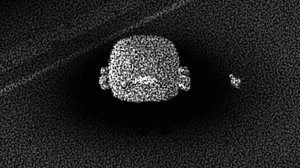 аномалия 999 в чикене гане 1 часть