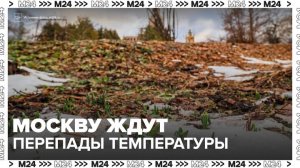 Москвичей предупредили о возможных перепадах температуры - Москва 24