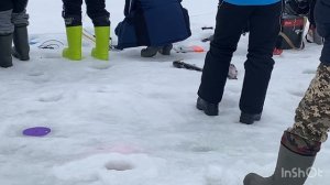 Ловля форели после запуска