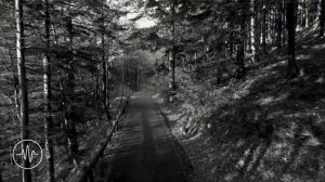 Русский Дип Хаус 2025 14 Deep House Mix Русские хиты о любви для души РусскийДипХаус