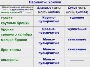 ЛЕКЦИЯ - 6-1 - Семиотика поражений органов дыхания у детей