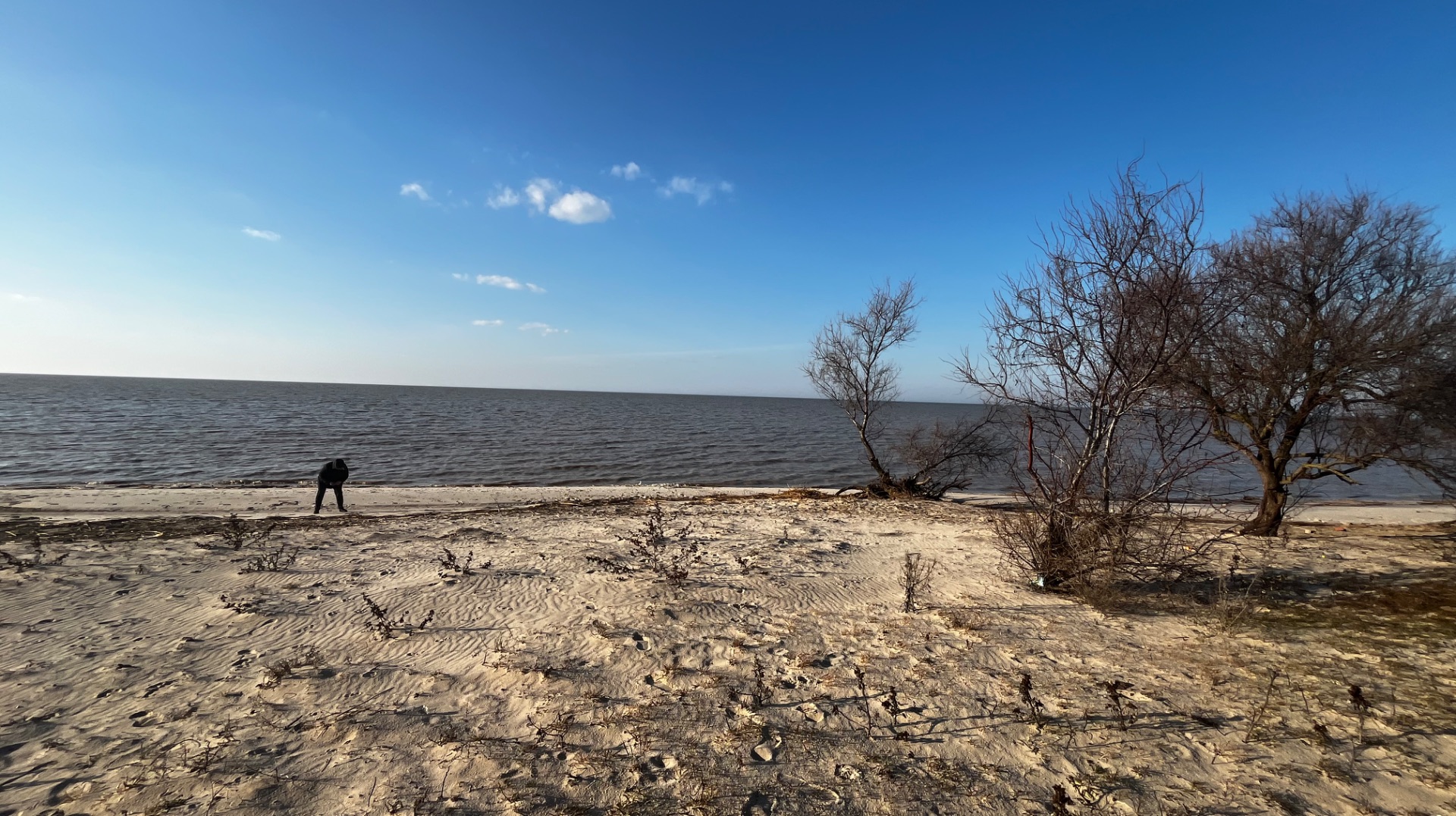 На 8 марта природа и Шашлык