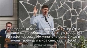 Благодарю,что пришел,как нежный Агнец