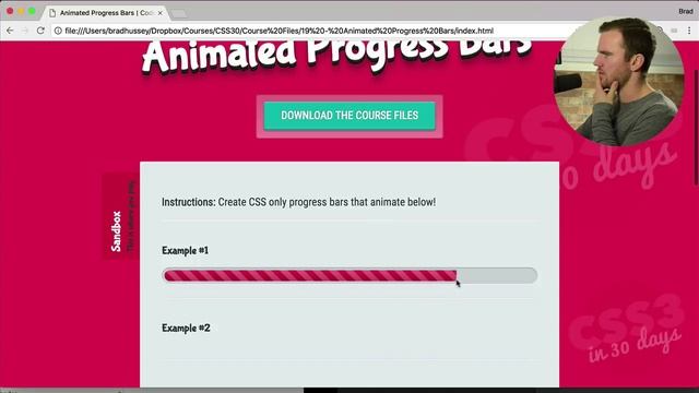 freeCodeCamp.org - 0196 - Animated Progress Bars. CSS Tutorial (Day 19 of CSS3 in 30 Days)
