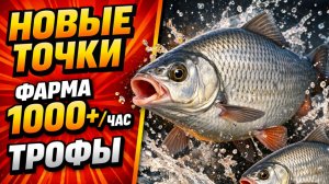 🤑 НОВЫЕ ТОЧКИ для ФАРМА РР4! Раздача ТРОФОВ • АХТУБА • ОСТРОГ! Фарм Серебра в Русской Рыбалке 4