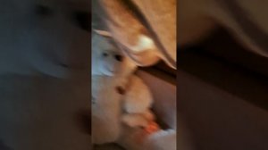 Мой домик для этого дня