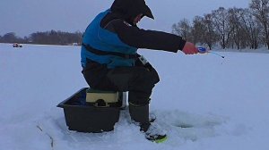 Ловля ГУСТЕРЫ на ПОВОДОК (на протяжку)!  Рыбалка  на ОКЕ!