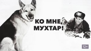 Ко мне, Мухтар!  1964
