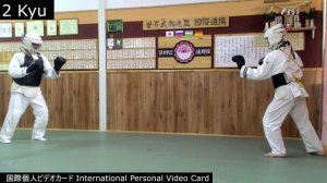 International Personal Video Card — 2 kyu