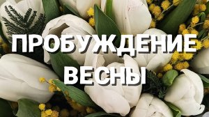 ЗВУКОТЕРАПЕВТИЧЕСКАЯ ЦЕЛИТЕЛЬСКАЯ СЕССИЯ "Я - ПОЛНОЦЕННАЯ ЛИЧНОСТЬ"