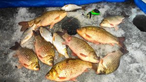 КРУПНЫЙ, ЖЕЛТЫЙ... ГОРБАТЫЕ КАРАСИ В ЛУНКУ НЕ ЛЕЗУТ!! ЗИМНЯЯ РЫБАЛКА ПО ПОСЛЕДНЕМУ ЛЬДУ