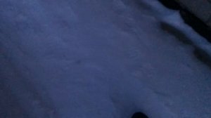 Илья привет видео