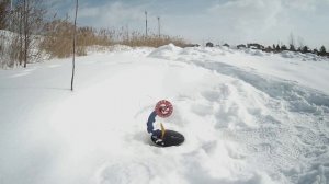 Щука обыкновенная: удивительная и непредсказуемая 😃