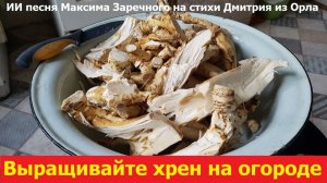 20260218 ИИ песня Выращивайте хрены под землёй на огороде Максима Заречного на стихи Дмитрия из Орла