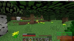 первое видео вари