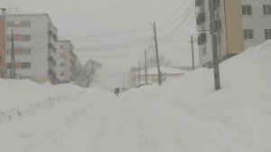 8 марта 2026 года / сильная метель /остров Сахалин